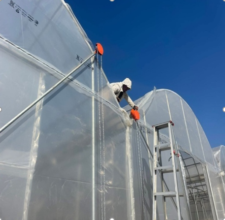 ALL TYPE OF GREENHOUSE